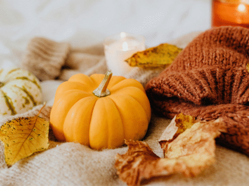 Noviembre no es final, es semilla: cómo usar este mes para diseñar tu próximo nivel